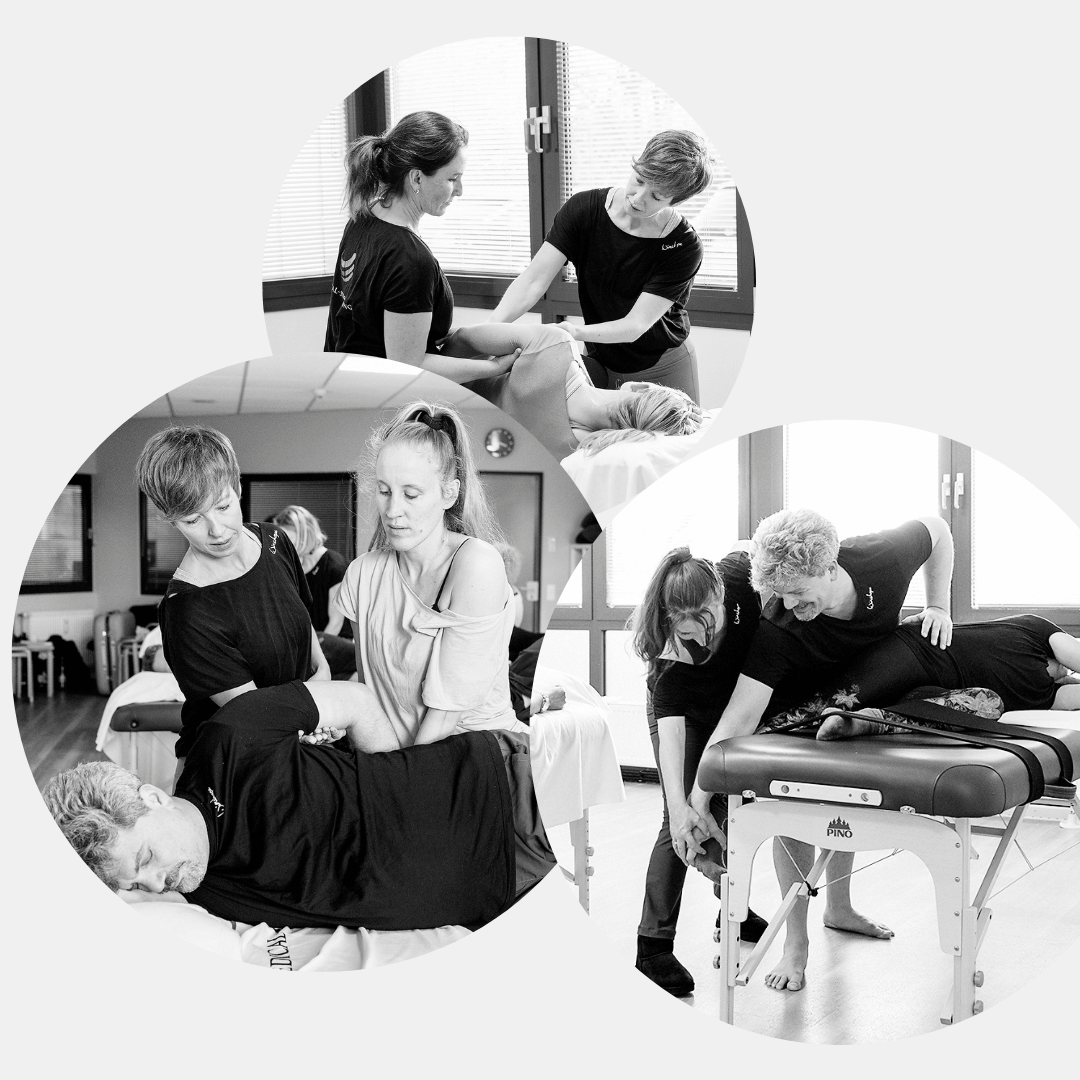 MEDICALSTRETCHING® Ausbildungsweg Die Bewegungsakademie