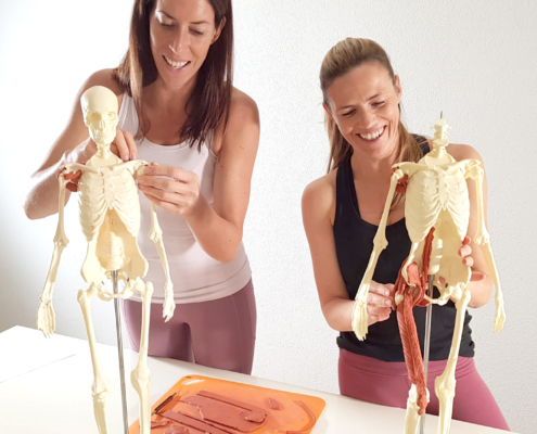 Pilates Anatomy 3D